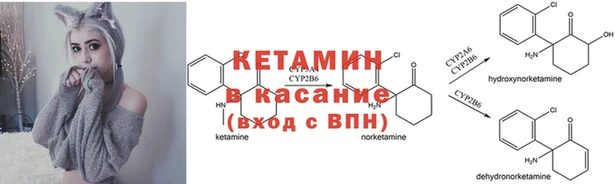 соль курить ск Алексеевка