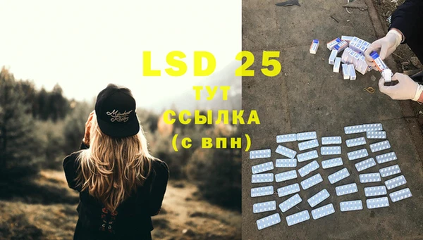 PSILOCYBIN Алзамай