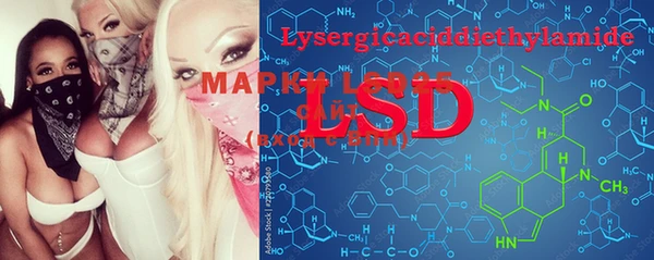 PSILOCYBIN Алзамай