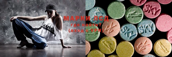 PSILOCYBIN Алзамай