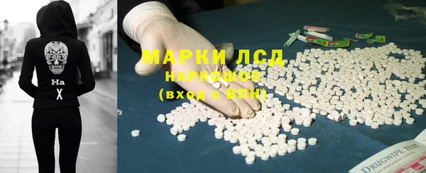 PSILOCYBIN Алзамай