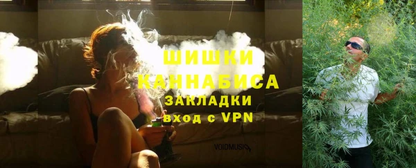 PSILOCYBIN Алзамай