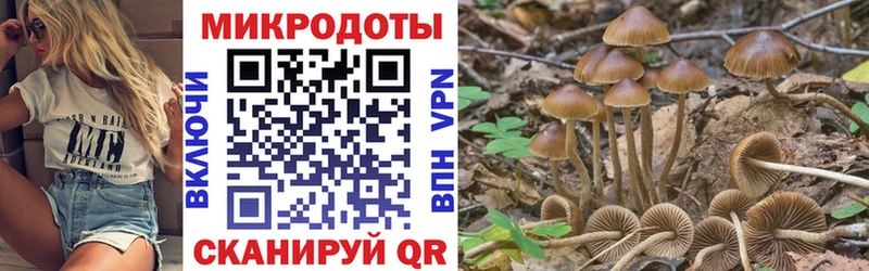 где купить наркоту  Ермолино  Галлюциногенные грибы ЛСД 